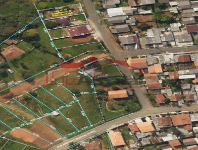 Lote para Venda, em Irati, bairro PEDREIRA