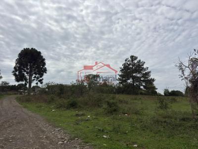 Lote para Venda, em Irati, bairro PEDREIRA