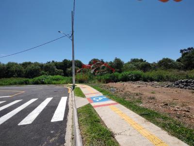 Lote para Venda, em Irati, bairro Jardim Aeroporto