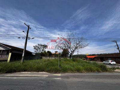 Lote para Venda na cidade de Irati no bairro RIOZINHO